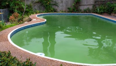 Kill Algae and Bacteria!